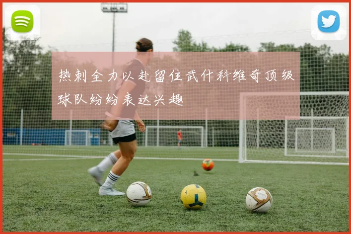 热刺全力以赴留住武什科维奇顶级球队纷纷表达兴趣